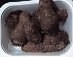 Colocasia